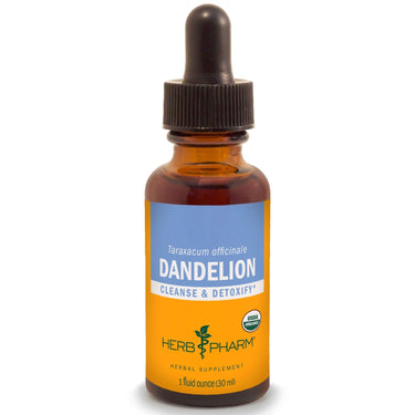 Dandelion - My Village Green
